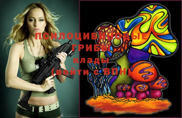 индика Баксан