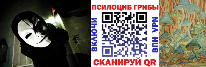 сколько стоит  Устюжна  Галлюциногенные грибы MAGIC MUSHROOMS 
